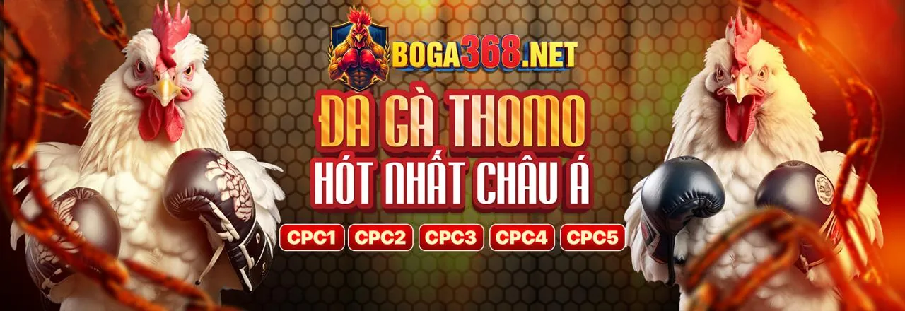 Đội ngũ hỗ trợ khách hàng BenVip chuyên nghiệp sẵn sàng phục vụ 24/7